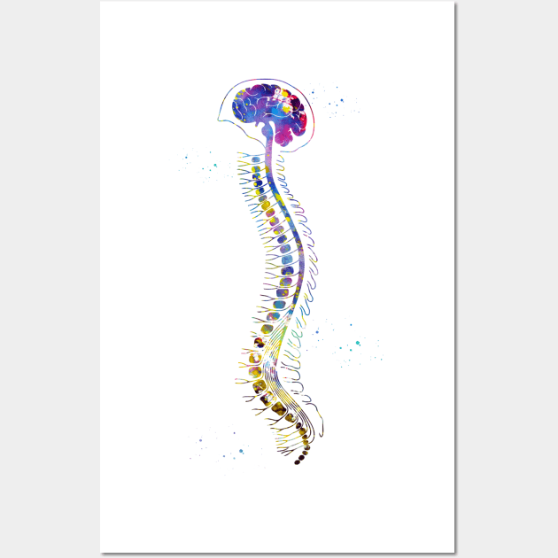 Brain with spinal cord Wall Art by erzebeth